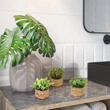 Carregar imagem no visualizador da galeria, Mini Vasos Decorativos - Eucalipto Lux
