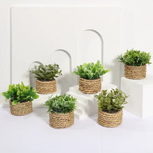 Carregar imagem no visualizador da galeria, Mini Vasos Decorativos - Eucalipto Lux
